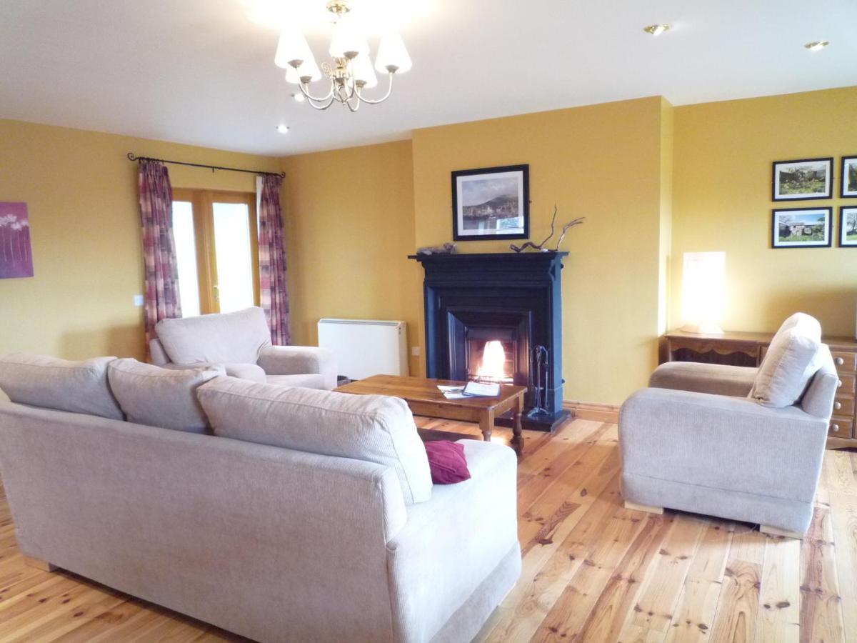 Courtyard Homes 3 Bed By Trident Homes * Dingle